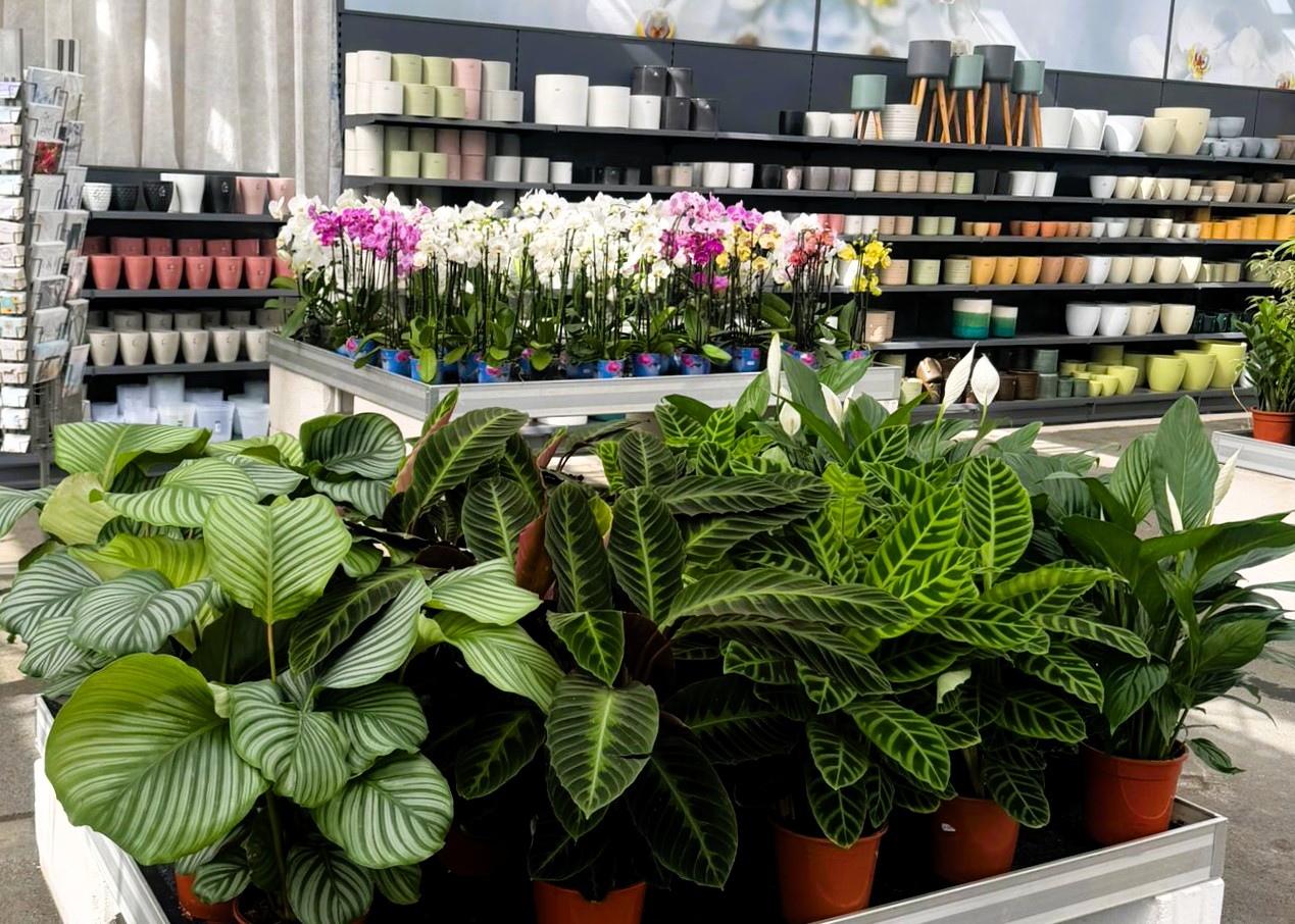 Monheimer Blumenmarkt